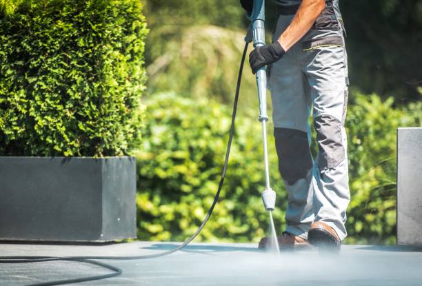 Best Roof Washing  in Dry Ridge, OH